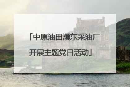 中原油田濮东采油厂开展主题党日活动