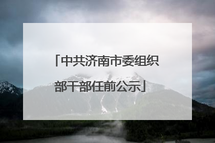 中共济南市委组织部干部任前公示