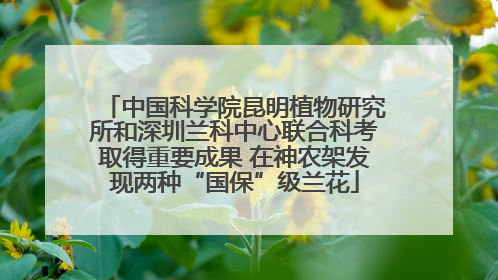 中国科学院昆明植物研究所和深圳兰科中心联合科考取得重要成果 在神农架发现两种“国保”级兰花