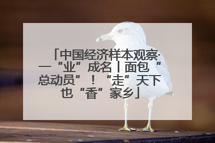 中国经济样本观察·一“业”成名丨面包“总动员”！“走”天下也“香”家乡
