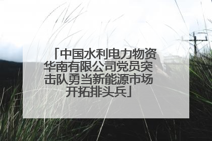 中国水利电力物资华南有限公司党员突击队勇当新能源市场开拓排头兵