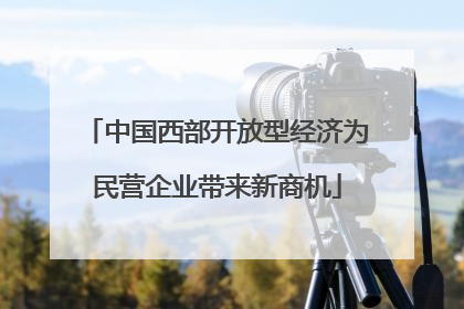 中国西部开放型经济为民营企业带来新商机