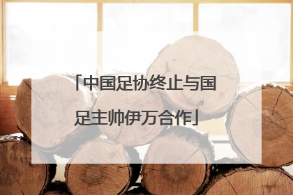 中国足协终止与国足主帅伊万合作