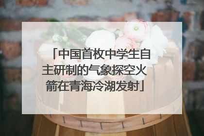 中国首枚中学生自主研制的气象探空火箭在青海冷湖发射