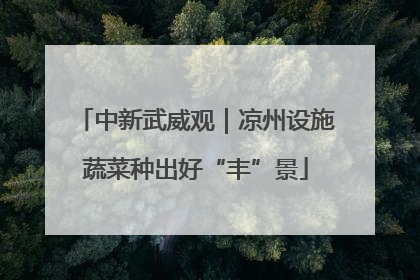 中新武威观｜凉州设施蔬菜种出好“丰”景