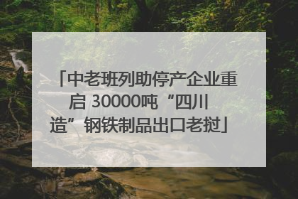 中老班列助停产企业重启 30000吨“四川造”钢铁制品出口老挝