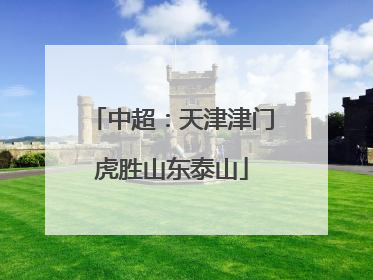 中超：天津津门虎胜山东泰山