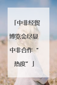 中非经贸博览会尽显中非合作“热度”