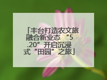 丰台打造农文旅融合新业态 “5.20”开启沉浸式“田园”之旅