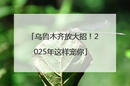 乌鲁木齐放大招！2025年这样宠你