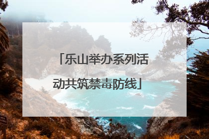乐山举办系列活动共筑禁毒防线