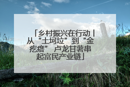 乡村振兴在行动丨从“土坷垃”到“金疙瘩” 卢龙甘薯串起富民产业链