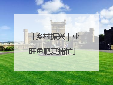 乡村振兴｜业旺鱼肥夏捕忙