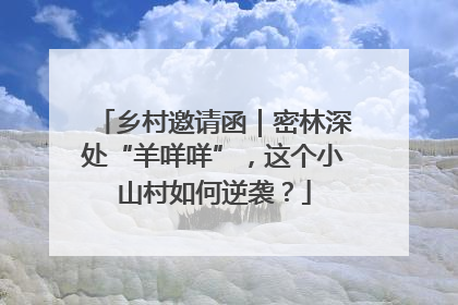 乡村邀请函｜密林深处“羊咩咩”，这个小山村如何逆袭？