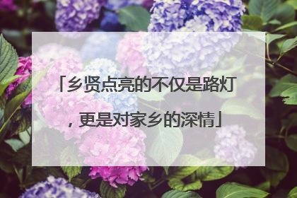 乡贤点亮的不仅是路灯，更是对家乡的深情