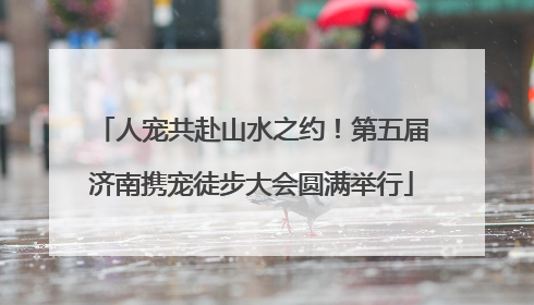 人宠共赴山水之约！第五届济南携宠徒步大会圆满举行
