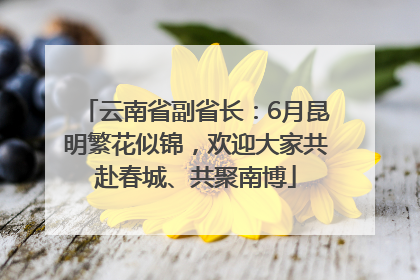 云南省副省长：6月昆明繁花似锦，欢迎大家共赴春城、共聚南博
