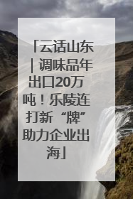 云话山东｜调味品年出口20万吨！乐陵连打新“牌”助力企业出海