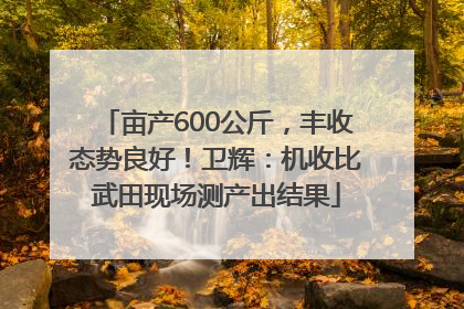 亩产600公斤，丰收态势良好！卫辉：机收比武田现场测产出结果