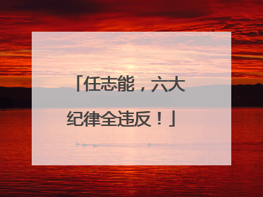 任志能，六大纪律全违反！