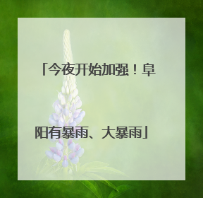 今夜开始加强！阜阳有暴雨、大暴雨