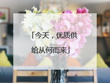 今天，优质供给从何而来