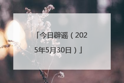 今日辟谣（2025年5月30日）