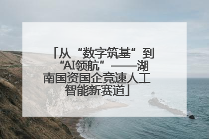 从“数字筑基”到“AI领航”——湖南国资国企竞速人工智能新赛道