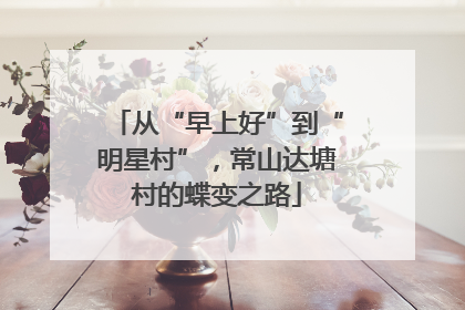 从“早上好”到“明星村”，常山达塘村的蝶变之路
