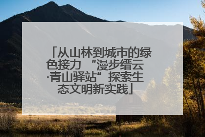 从山林到城市的绿色接力 “漫步缙云·青山驿站”探索生态文明新实践