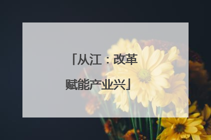 从江：改革赋能产业兴