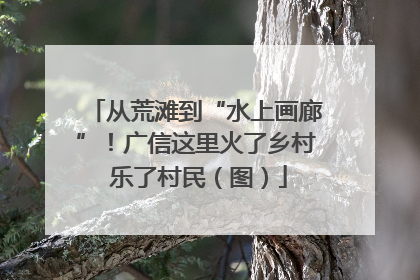 从荒滩到“水上画廊”！广信这里火了乡村 乐了村民（图）