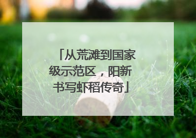 从荒滩到国家级示范区，阳新书写虾稻传奇