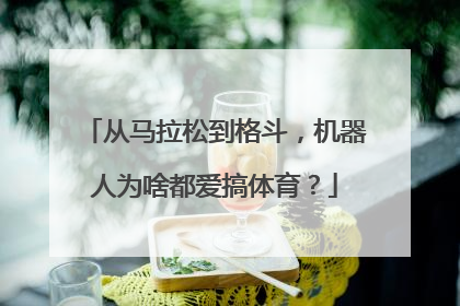 从马拉松到格斗，机器人为啥都爱搞体育？