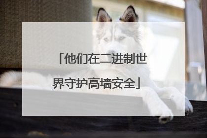 他们在二进制世界守护高墙安全