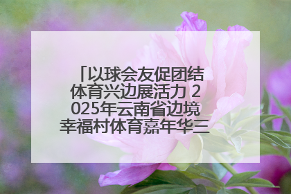 以球会友促团结 体育兴边展活力 2025年云南省边境幸福村体育嘉年华三人篮球赛圆满收官