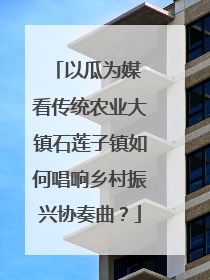 以瓜为媒 看传统农业大镇石莲子镇如何唱响乡村振兴协奏曲？