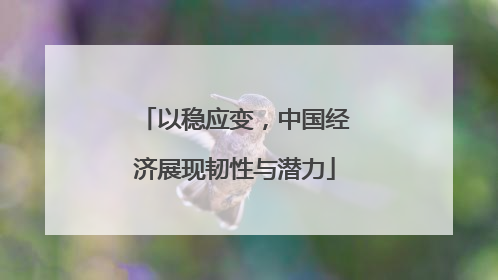 以稳应变，中国经济展现韧性与潜力