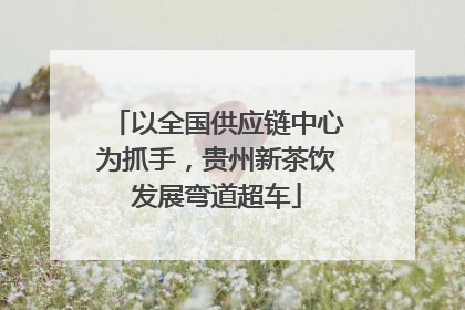 以全国供应链中心为抓手，贵州新茶饮发展弯道超车