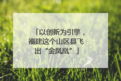以创新为引擎，福建这个山区县飞出“金凤凰”