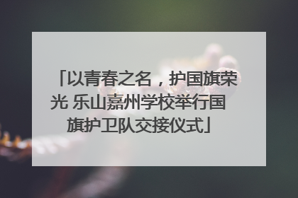 以青春之名，护国旗荣光 乐山嘉州学校举行国旗护卫队交接仪式