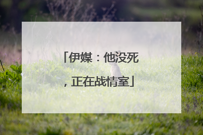 伊媒：他没死，正在战情室