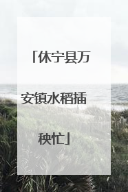 休宁县万安镇水稻插秧忙