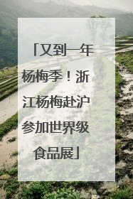 又到一年杨梅季！浙江杨梅赴沪参加世界级食品展