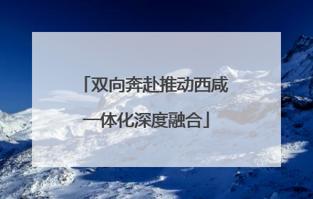 双向奔赴推动西咸一体化深度融合