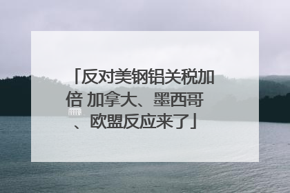 反对美钢铝关税加倍 加拿大、墨西哥、欧盟反应来了