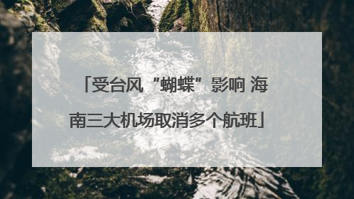 受台风“蝴蝶”影响 海南三大机场取消多个航班