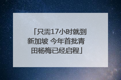 只需17小时就到新加坡 今年首批青田杨梅已经启程