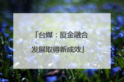 台媒：厦金融合发展取得新成效