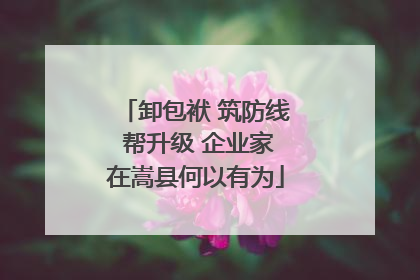 卸包袱 筑防线 帮升级 企业家在嵩县何以有为